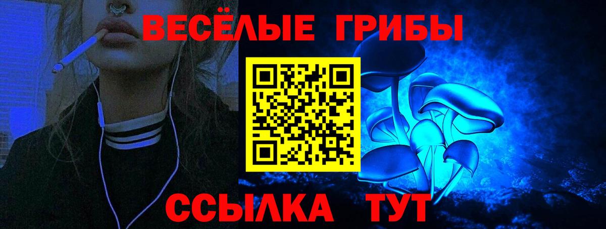 Полысаево  Галлюциногенные грибы Psilocybine cubensis  Вход с VPN 